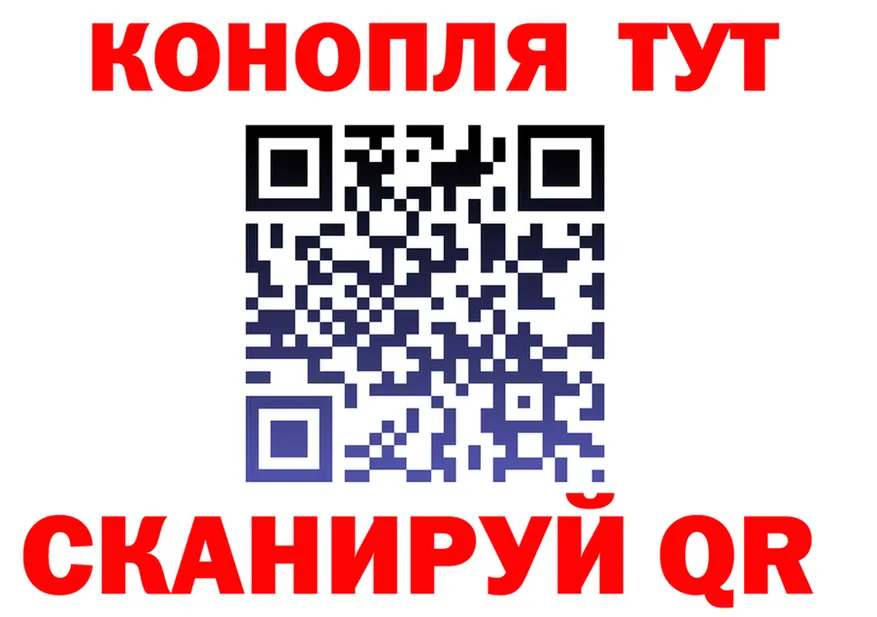 COCAIN Fish Scale вход площадка OMG Монино