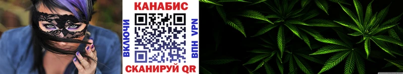 Канабис SATIVA & INDICA купить цена Монино