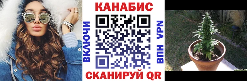 Канабис White Widow Монино